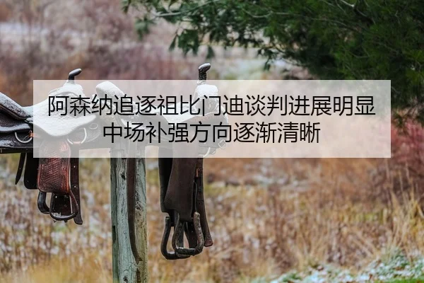 阿森纳追逐祖比门迪谈判进展明显 中场补强方向逐渐清晰